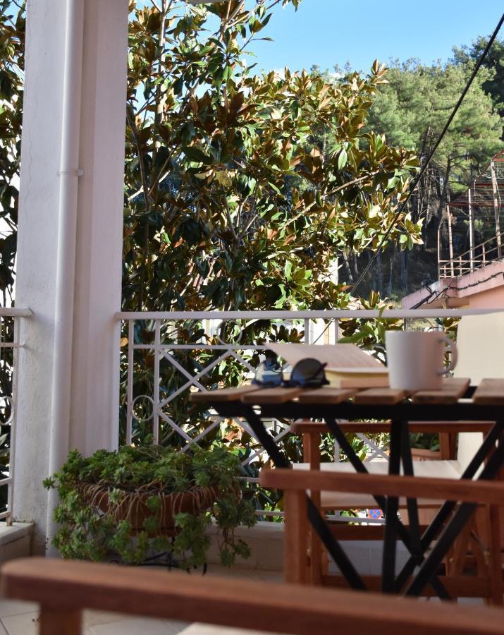Magnolia House In Ioannina Apartment Exterior photo